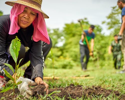 IndoAgri Food